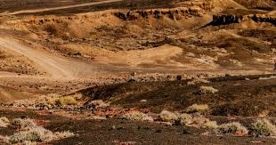 挪媒：索帅若执教曼联周薪约5-6万镑